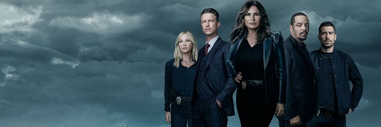 À Propos La loi &amp; l'ordre : crimes sexuels - Séries Plus